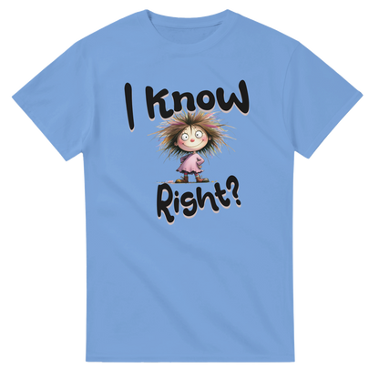 13e70fc3-a17a-433c-a654-53e94ae972c1